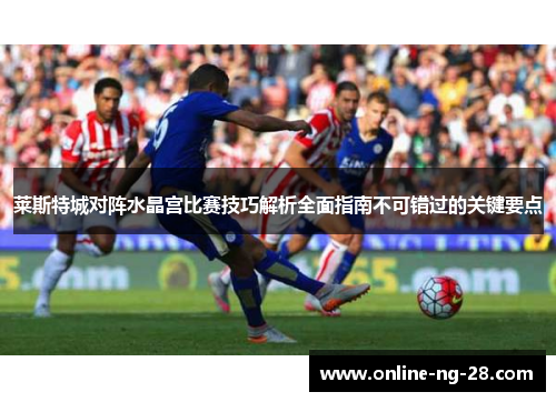 莱斯特城对阵水晶宫比赛技巧解析全面指南不可错过的关键要点