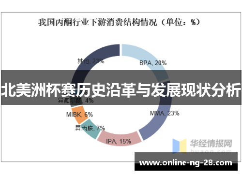 北美洲杯赛历史沿革与发展现状分析