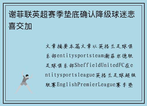 谢菲联英超赛季垫底确认降级球迷悲喜交加